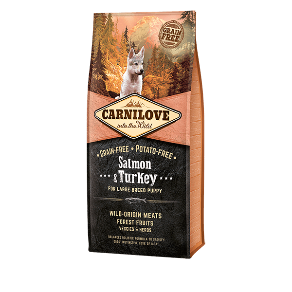 Salmon & Turkey Puppy Food for Large Breeds