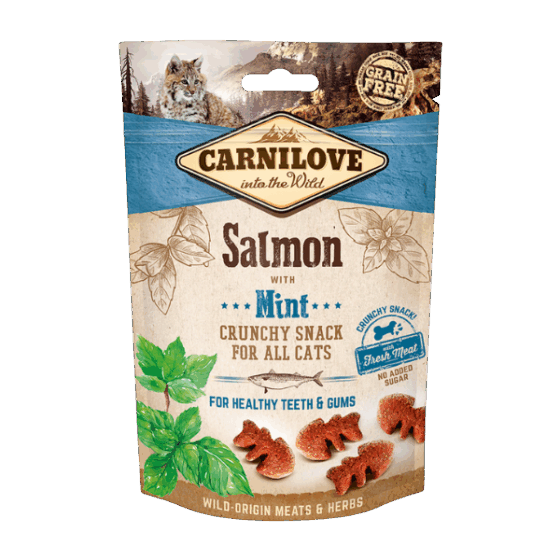 Salmon with Mint Crunchy Cat Treats