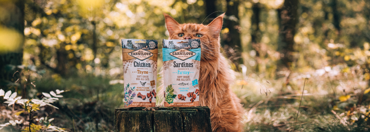 Duck with Raspberries Crunchy Cat Treats
