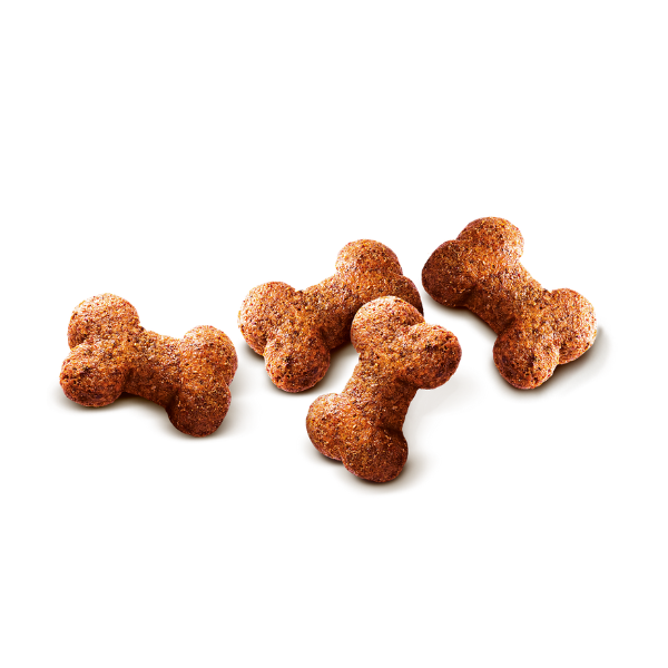 Lamb with Cranberries Crunchy Dog Treats