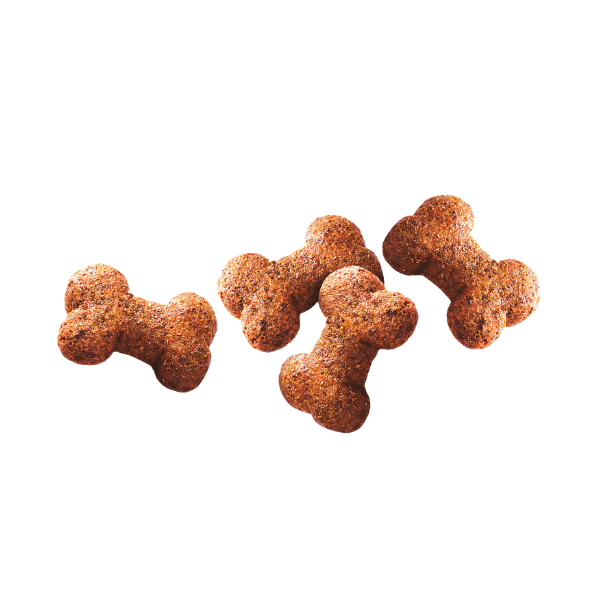 Wild Boar with Rosehips Crunchy Dog Treats