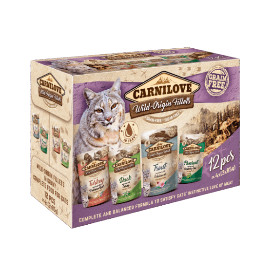 Wet Cat Food Pouch Multipack