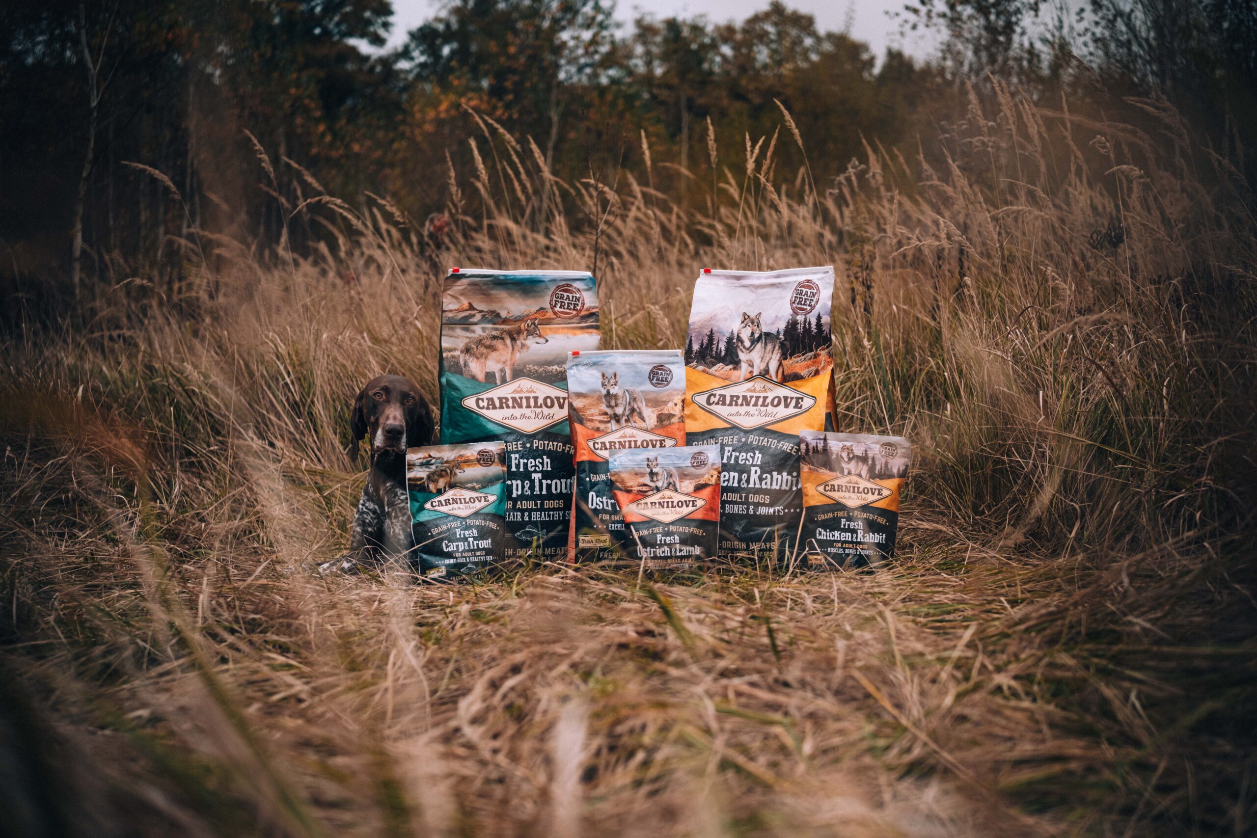 Fresh Ostrich & Lamb Dog Food for Small Breeds