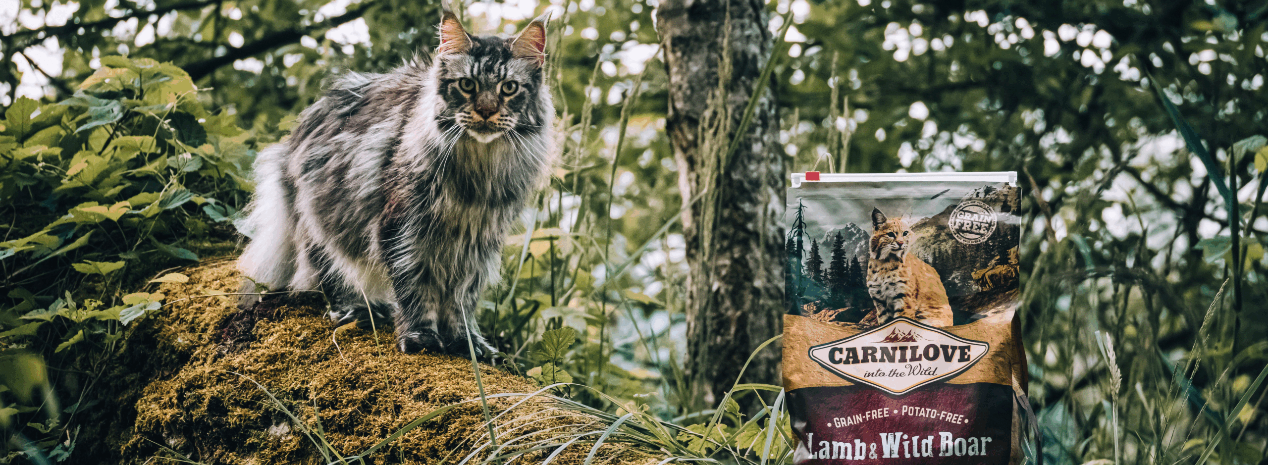 Duck & Pheasant Cat Food