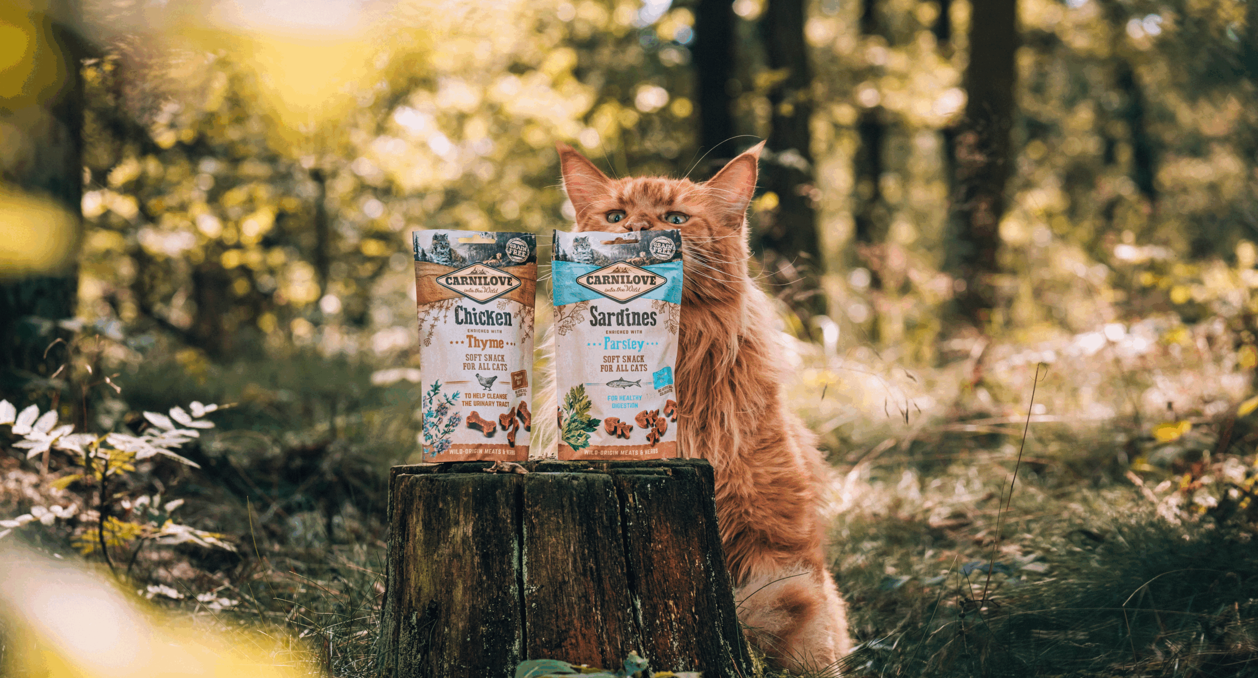 Duck with Raspberries Crunchy Cat Treats