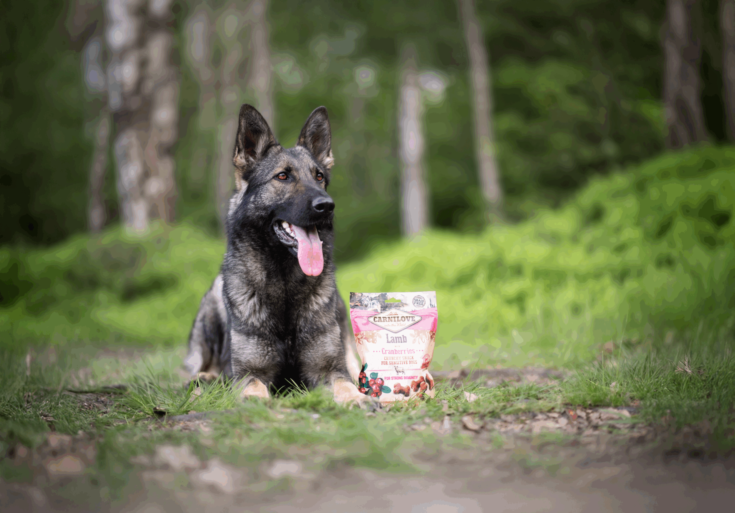 Ostrich with Blackberries Crunchy Dog Treats
