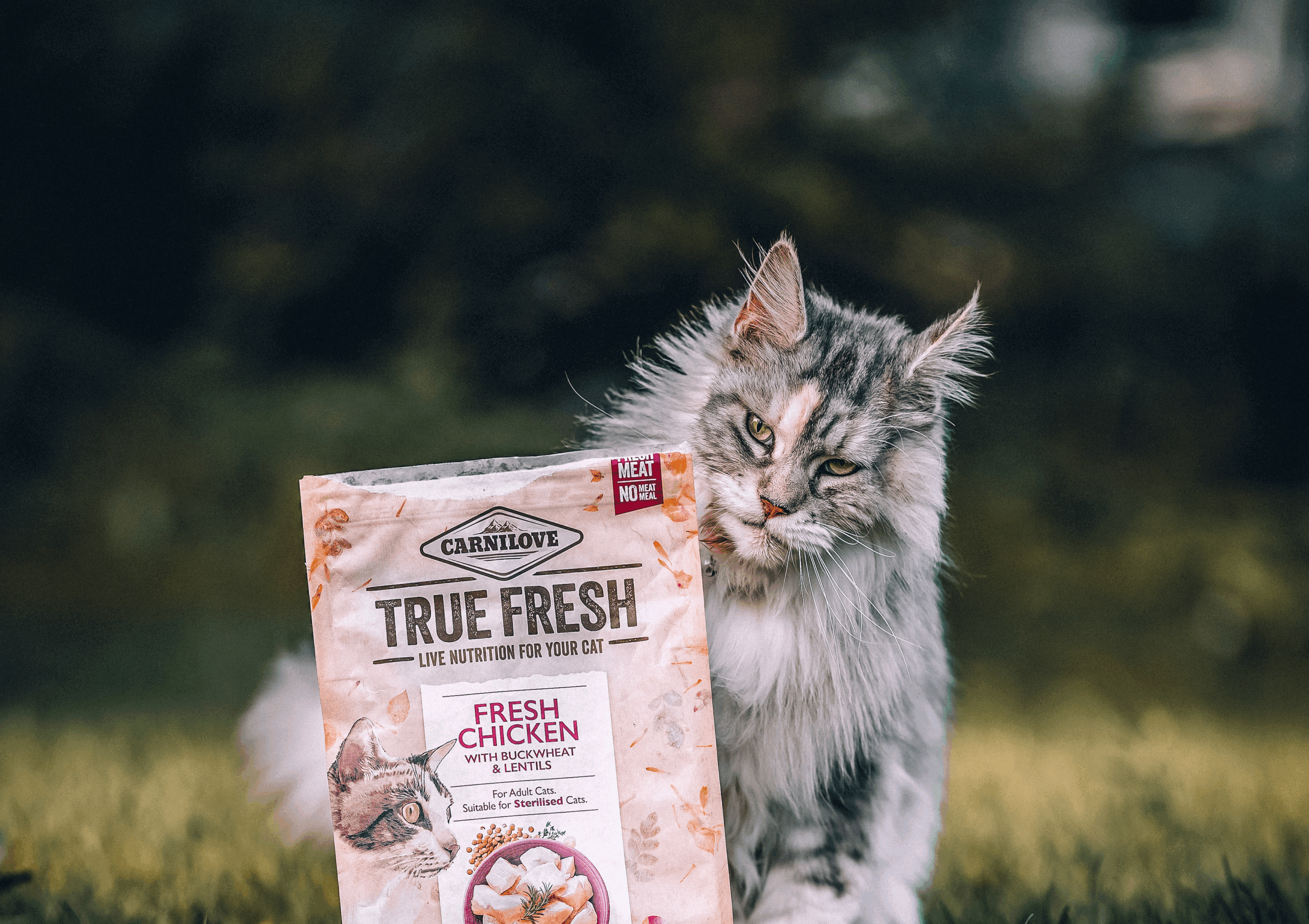 True Fresh Chicken Cat Food