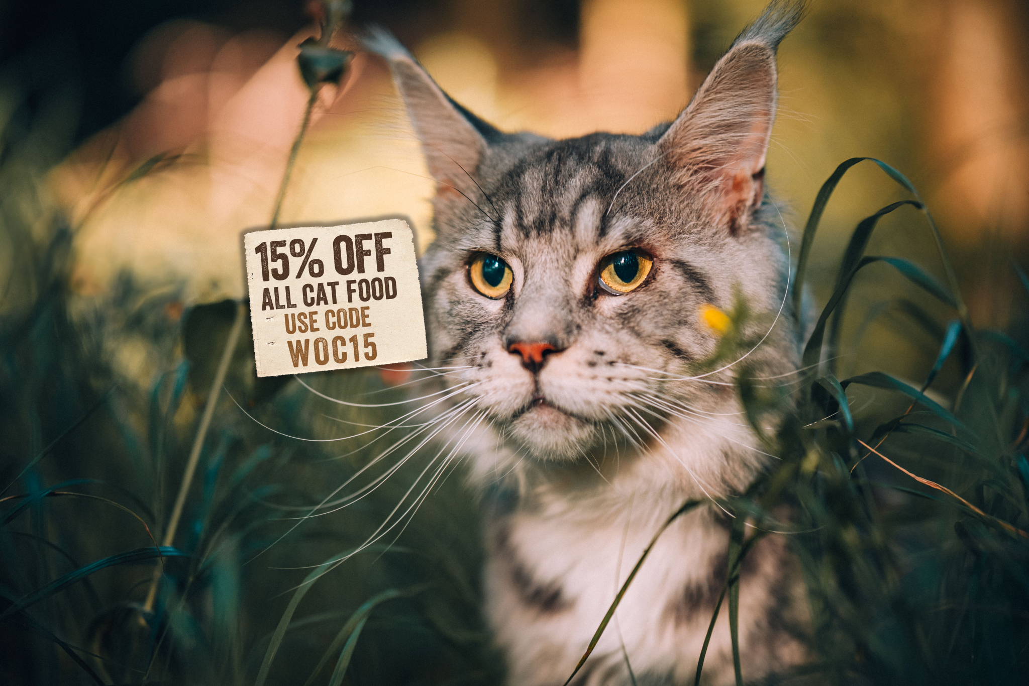 Wet Cat Food Pouch Multipack