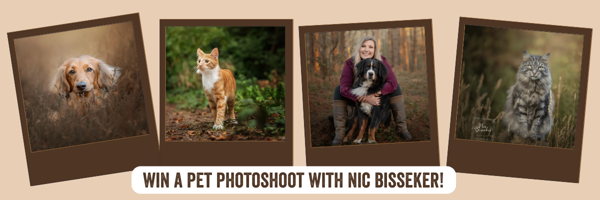 Win a Professional Photoshoot for your pet!