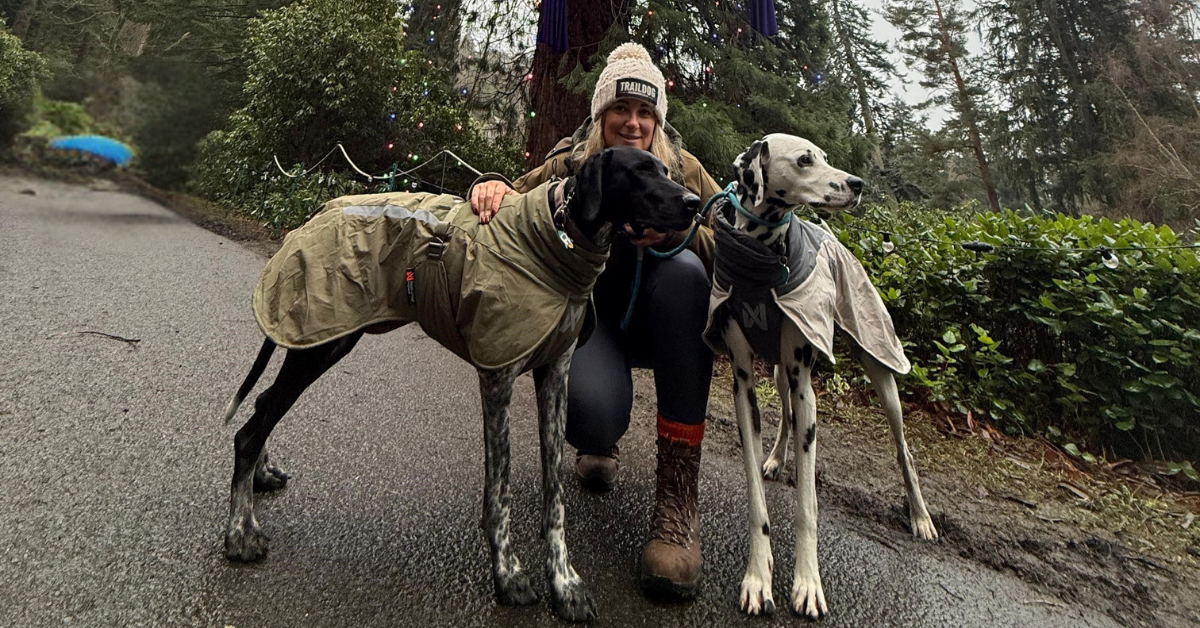 How to stay motivated to get outside with your dog this winter!