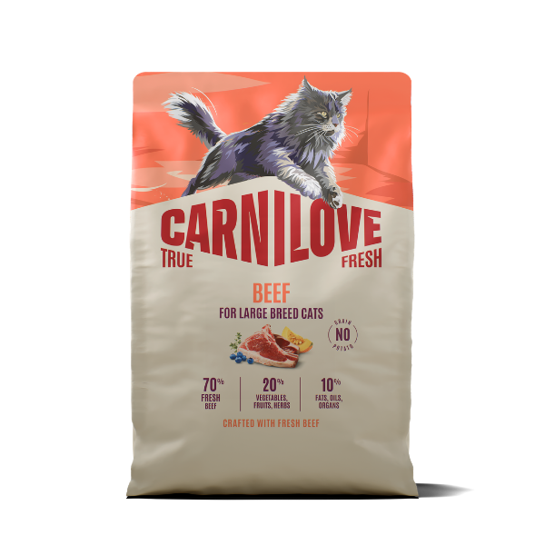 CARNILOVE True Fresh Beef Cat Food
